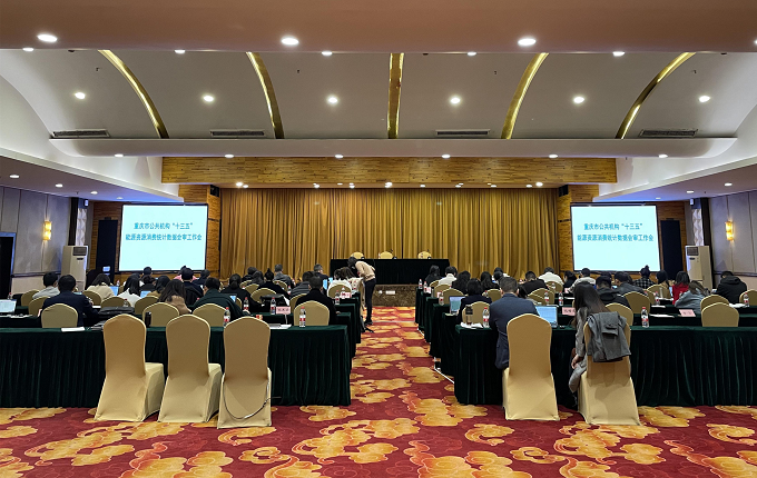 重庆市举办公共机构“十三五” 能源资源消费统计数据会审工作会
